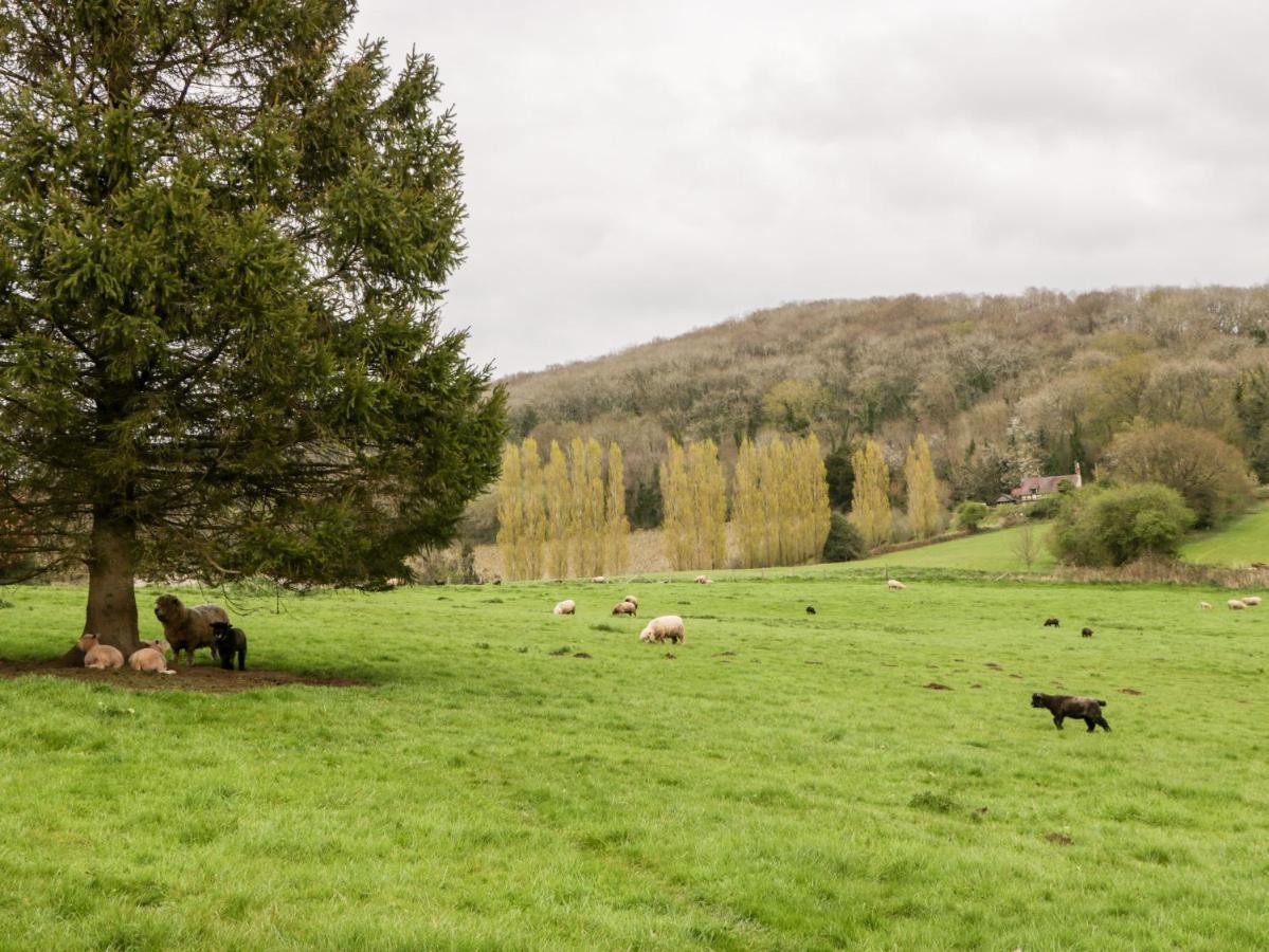 Orchard Cottage Ledbury Luaran gambar